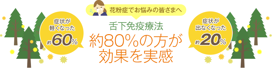 花粉症でお悩みの皆様へ 舌下免疫治療法　約80％の方が効果を実感（症状が軽くなった...約60％、症状が出にくくなった...約20％）